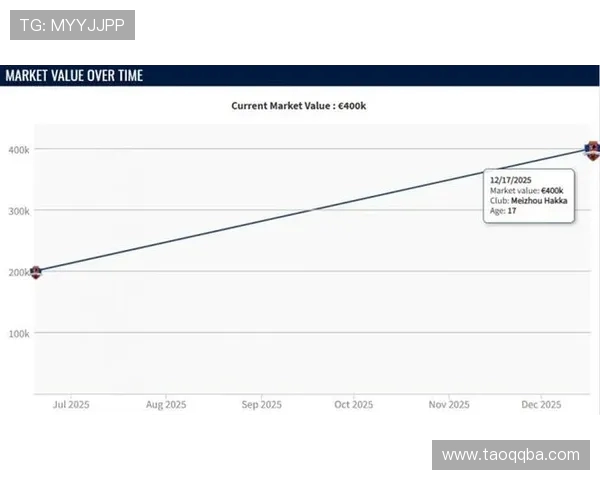 法甲外援身价评估及市场价值波动分析